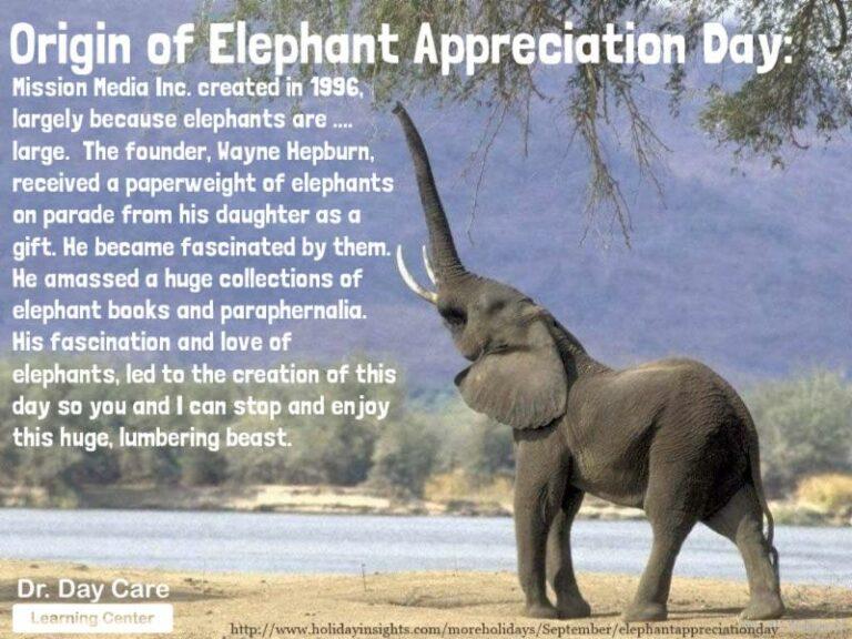 Happy Elephant Appreciation Day!